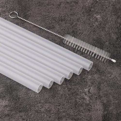 Replacement Straws for Zak Designs 19oz Water Bottle - 6 Straws & Brush