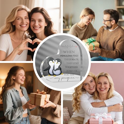 Penguin Heart Acrylic Plaque Romantic Gift for Wife Husband Anniversary