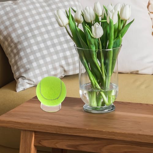 TIESOME 12 PCS Clear Acrylic Sphere Display Stands - 3 Sizes