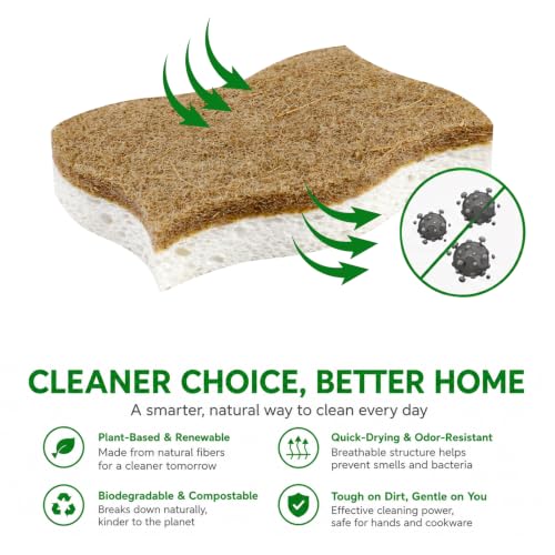 MoopBrushee 8 Pack Eco Friendly Kitchen Sponges - Natural Coconut Scrubber