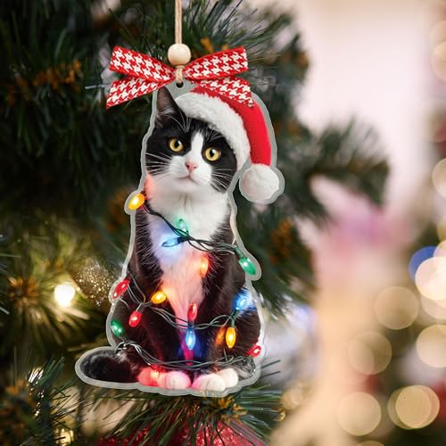 Personalized Black Cat Christmas Ornament 2025 - Funny Tree Decor