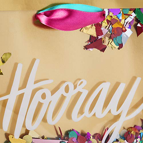 Hallmark Signature Medium Square Gift Bag, Hooray Confetti with Tissue Paper