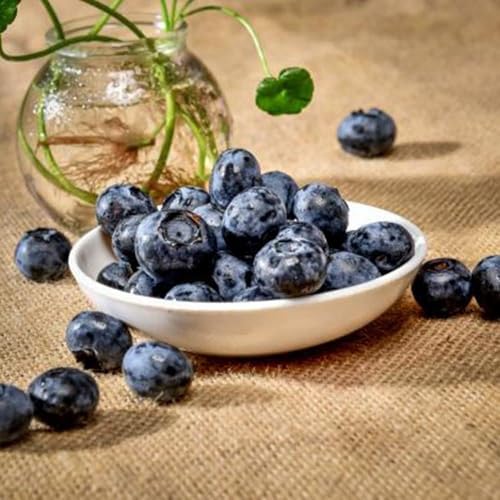 20 Pcs Realistic Artificial Blueberries for Home Decor