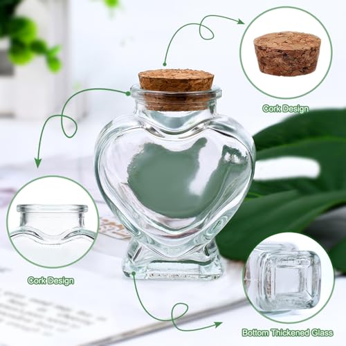 Heart Shaped Glass Jars - 160ml Wishing Bottles with Cork Stoppers