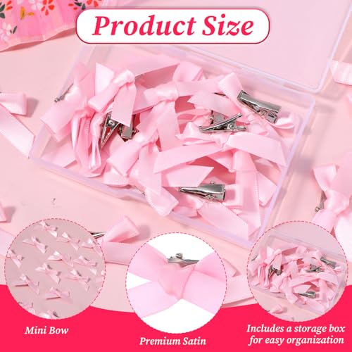 20 PCS Mini Pink Hair Bows, Satin Bow Hair Clips with Storage Box