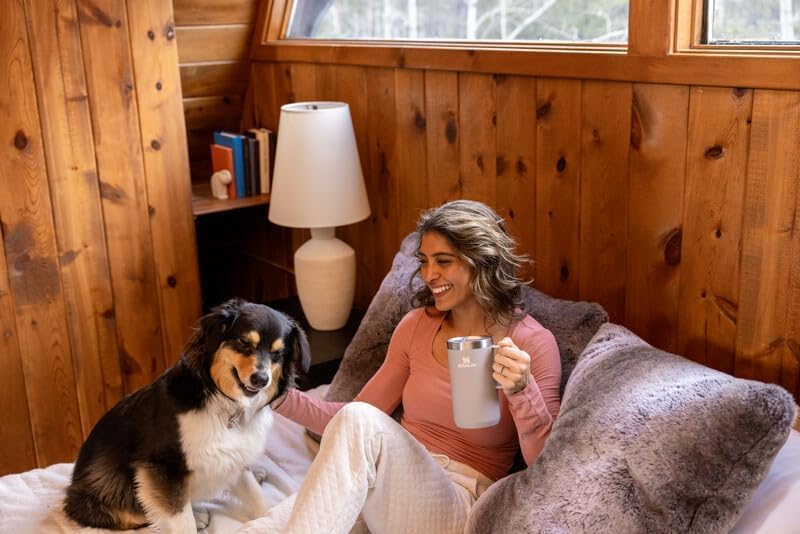 STANLEY Everyday Camp Mug - Insulated Stainless Steel | Drink Through Lid for Coffee & Tea