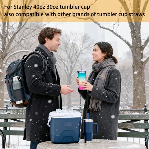 LEDUO 10-Pack Reusable Sparkling Straws for Stanley & Tumbler Cups