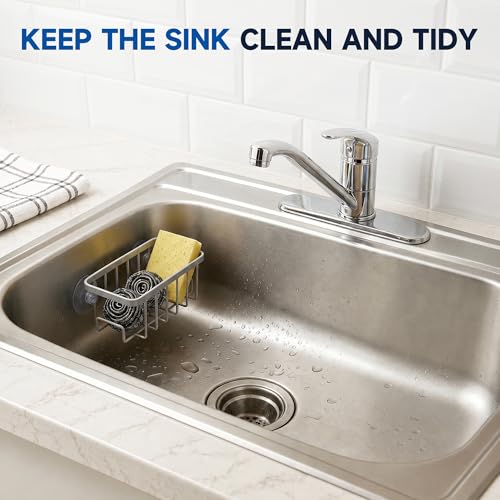 Rustproof Kitchen Sink Sponge Holder with Dual Side Hooks