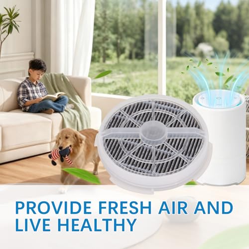 Sgizoku True HEPA Replacement Filters for Frida Baby & Rigoglioso - 2 Pack