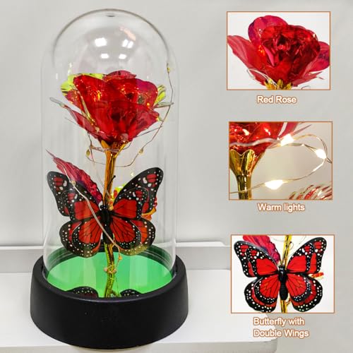 JZILU Colorful Eternal Rose in Glass Dome with Warm LED Fairy Lights