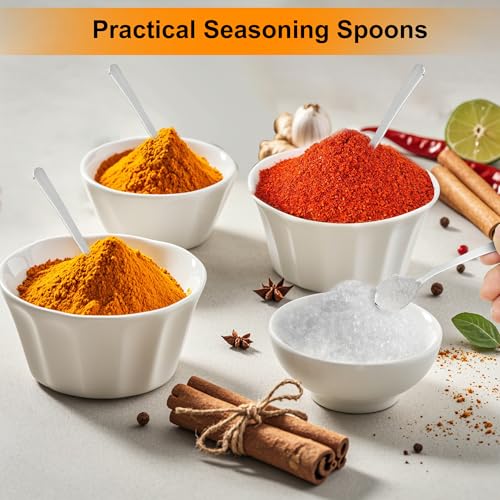 Mini Stainless Steel Spoons Set of 6 - 3.93" Tiny Spice Spoons
