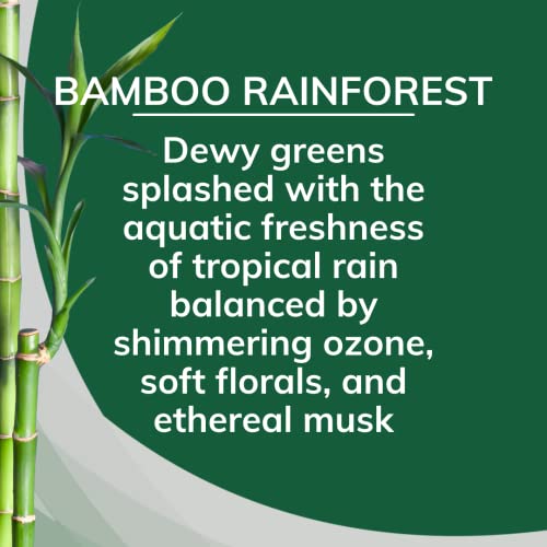 Citrus Magic Bamboo Rainforest Air Freshener - 8 oz (12 Pack)