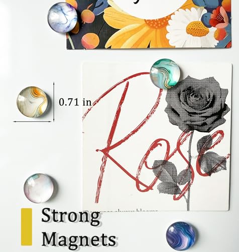 Elegant Marble Refrigerator Magnets - Cute Decorative Set of 24