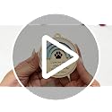 Paw Print Ornament for Dogs & Cats - Personalized Pet Memorial Gift