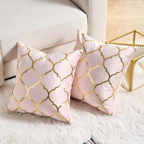 Pack of 2 Gold Velvet Pillow Covers 18x18 - Modern Farmhouse Accent Cushions