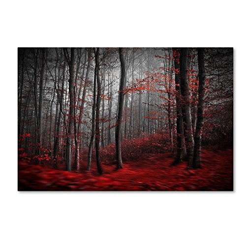 Trademark Fine Art 1X00238-C1219GG Canvas Art, 12 in x 19 in