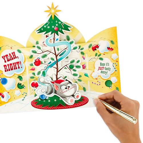 Hallmark Funny Christmas Cat Musical Greeting Card
