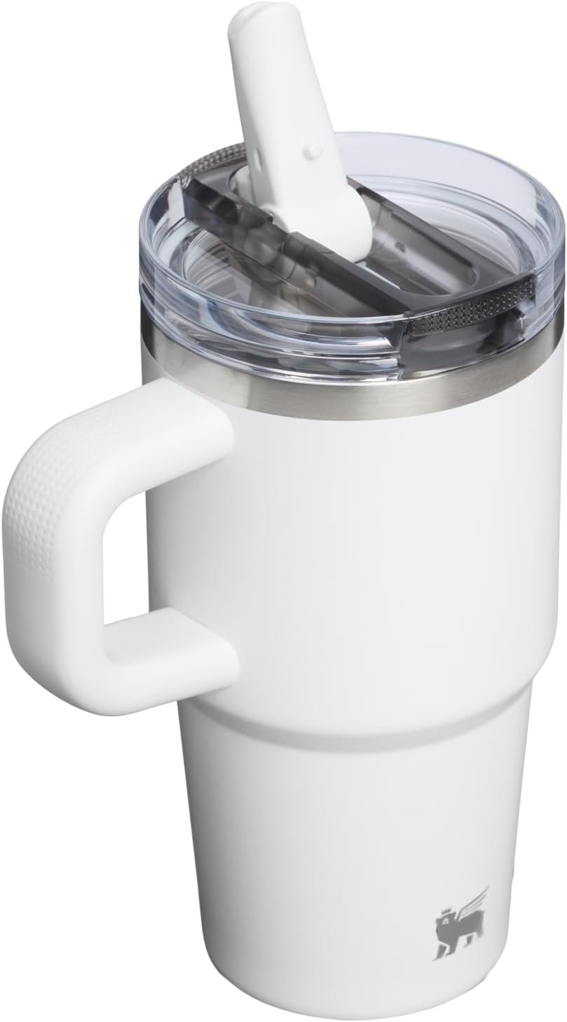 STANLEY Quencher ProTour 20 oz Tumbler - Insulated Stainless Steel with Leakproof Lid & Built-In Straw | Frost Color