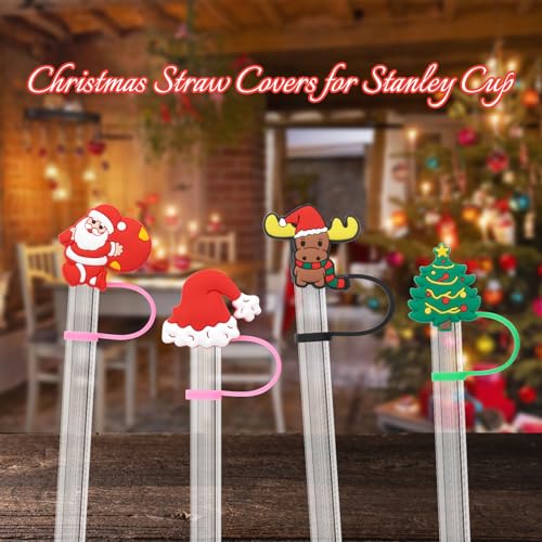 Silicone Straw Covers for Stanley Tumblers - Cute 10mm Cap Set