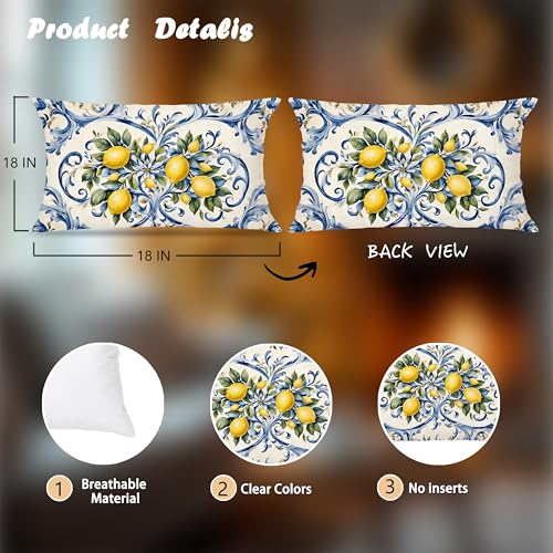 EUYTHNGYF 20x12 Blue Porcelain Lemon Coastal Pillow Cover - Italian Lemon Fruit Home Decor