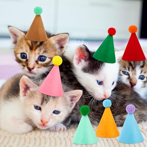 10 Pcs Colorful Mini Party Hats for Stuffed Animals and Pets