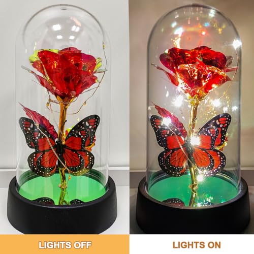 JZILU Colorful Eternal Rose in Glass Dome with Warm LED Fairy Lights