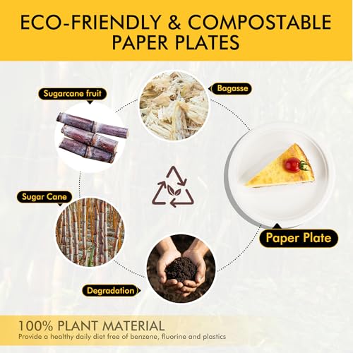 RACETOP 6-Inch Compostable Paper Dessert Plates - 100 Pack Sugarcane Fiber