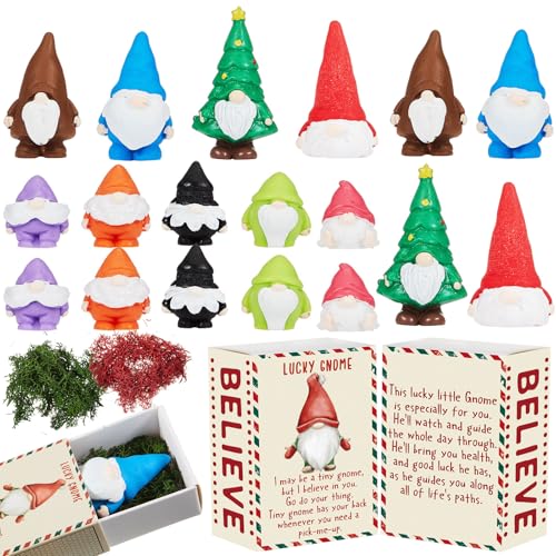 Wonderjune Christmas Coworker Gifts Set - 18 Mini Gnomes & Holiday Boxes (Variation of THIS listing)