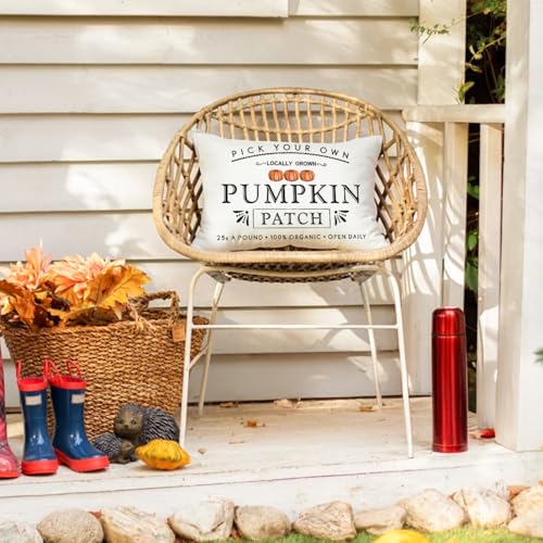 Autumn Pumpkin Patch Throw Pillow Cover - Farmhouse Style 12x20