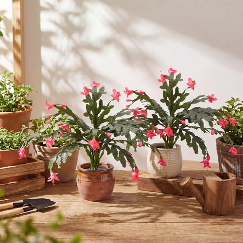 Artificial Christmas Cactus Plants - 4 Pink Silk Faux Flowers, 16 Leaves Variation