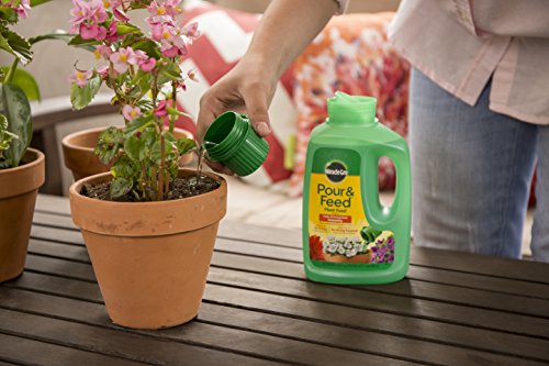 Miracle-Gro Liquid Plant Food 32 oz - Ready to Use, Pack of 2