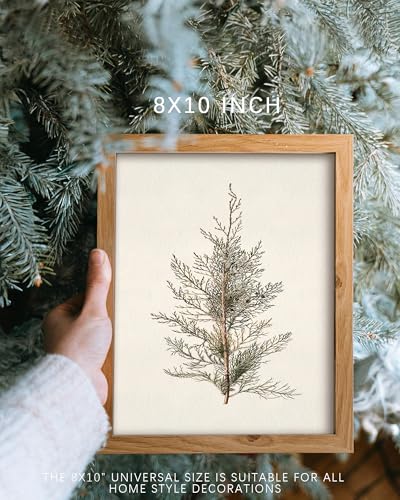 Vodefoad Vintage Cypress Tree Christmas Wall Art - 8x10 Unframed