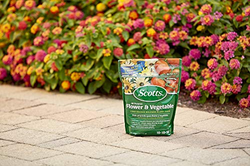 Scotts All Purpose Plant Food, Continuous Release Fertilizer, 3 lb (6-Pack)