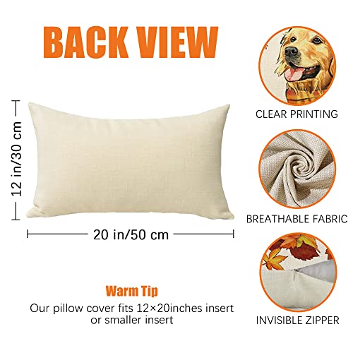 Golden Retriever Fall Decorative Lumbar Pillow - 20" x 12"