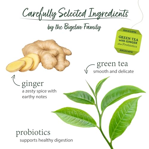 Bigelow Green Tea with Ginger Plus Probiotics - 18 Count (Pack of 6)