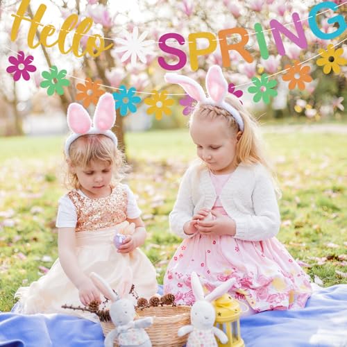 Hello Spring Glitter Banner with Daisy Flower Garland - Colorful Party Decoration