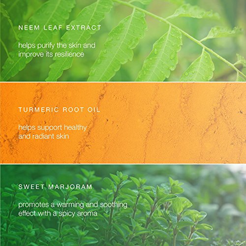 Himalaya Botanique Balancing Neem & Turmeric Face Wash, 5.07 oz (2 Pack)
