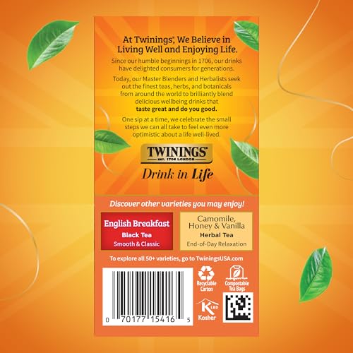 Twinings Ceylon Pure Black Tea Bags, 20 Count (Pack of 6)