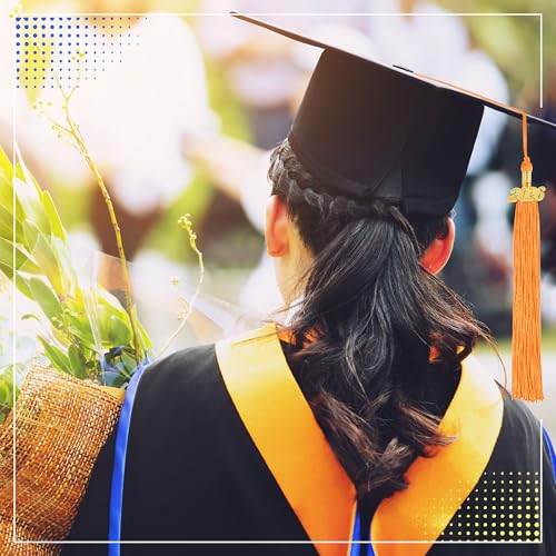 2026 Graduation Tassel Set - 2 Orange Tassels with Gold Charm