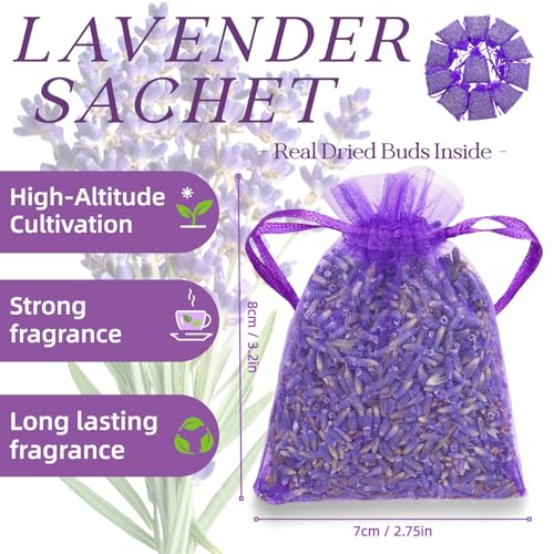 French Lavender Sachets - 20 Pack for Fresh Scent in Homes & Cars
