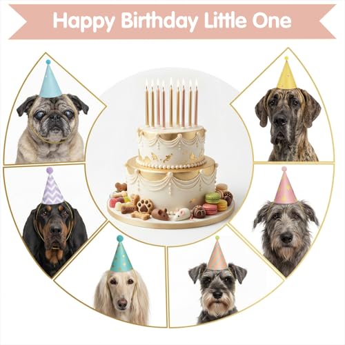 6 Mini Party Cone Hats for Small Pets & Stuffed Animals