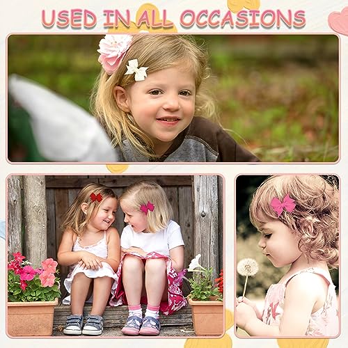Hoewina 20PCS 2-Inch Baby Hair Bows and Alligator Clips for Toddlers