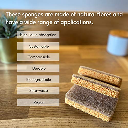 eplanita Biodegradable Plant-Based Scrub Sponges - 3 Pack, Non-Scratch