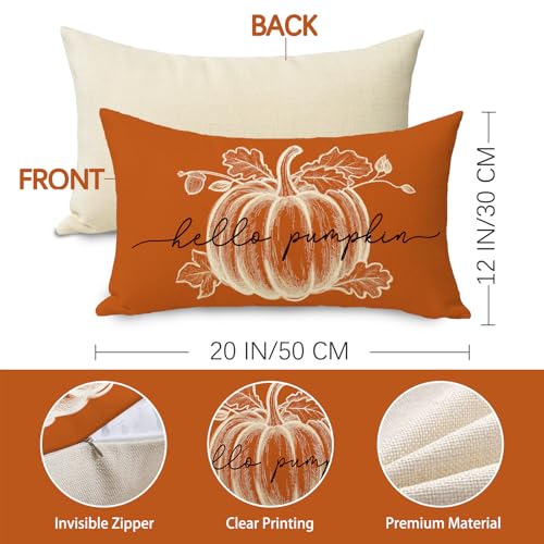 Hello Pumpkin Decorative Throw Pillow Cover 20 x 12 - Autumn Home Decor