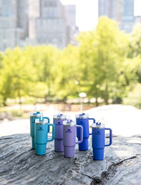 STANLEY Quencher H2.0 Tumbler 30 oz - Insulated Stainless Steel with Straw & 3-Position Lid | BPA-Free | Iris