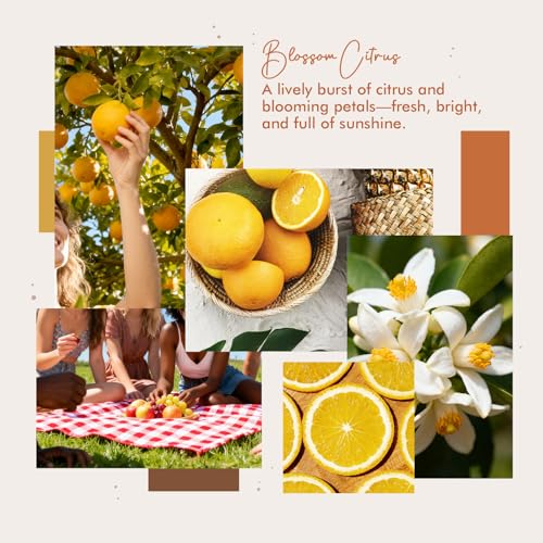 CLESH Blossom Citrus Room Spray - 4 oz Long-Lasting Air Freshener