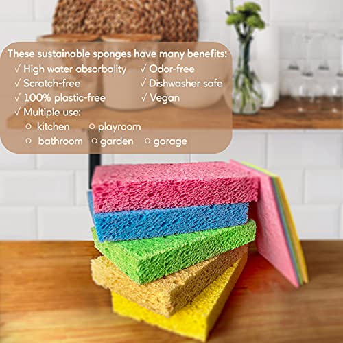 EPLANITA Natural Cellulose Pop-Up Sponges – 10 Pack Eco-Friendly Scrubbers