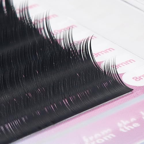 ANNAFRIS Individual Eyelash Extensions 16 Rows Matte Black D Curl Mix