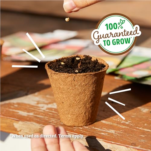 Back to the Roots Organic Sweet Basil Seed Packet - Non-GMO