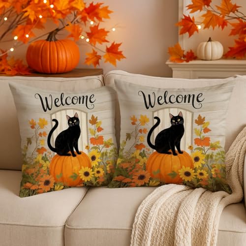 Set of 2 Fall Black Cat Pumpkin Pillow Covers - 18x18 Inch Double-Sided